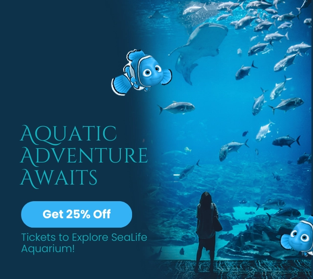 Promo Banner 2 Promo Banner 2