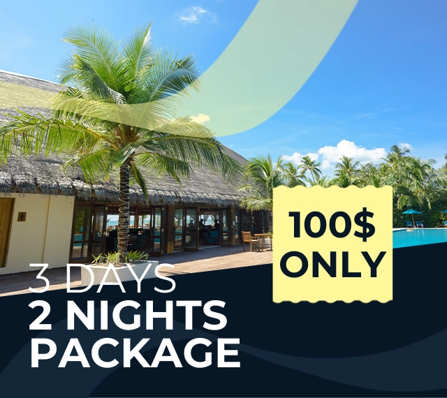 Promo Banner 3 Promo Banner 3